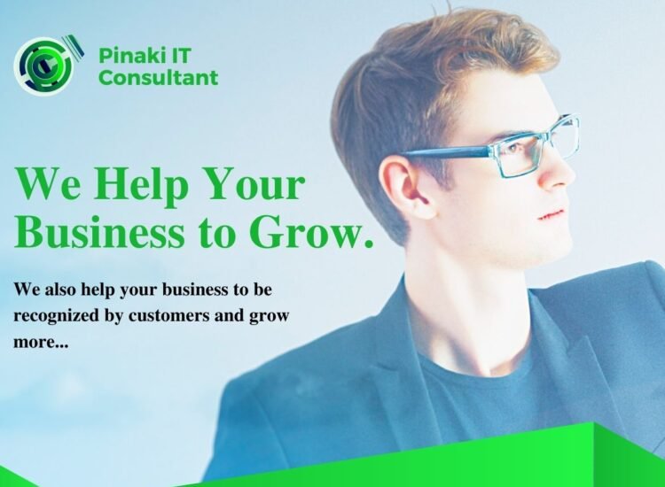 Pinaki IT Consultant: Driving Innovation and Growth for Businesses
